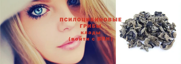 не бодяженный Дмитров