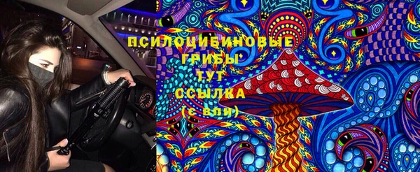 не бодяженный Дмитров